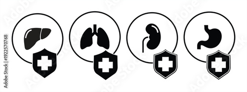 Set of medical shields with liver, kidneys, stomach and lungs vector icons. Safety or protection internal organs. Vector 10 Eps.