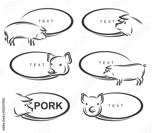 Pork labels and icon set. Collection icons pork. Vector