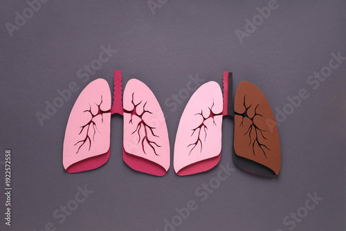 Paper lungs on dark background