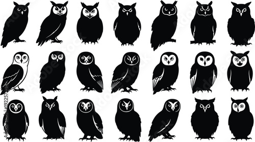 Large Set of Black Owl Silhouettes with Different Species and Poses, Wise Bird Icons for Wisdom, Nature, Halloween, and Education,