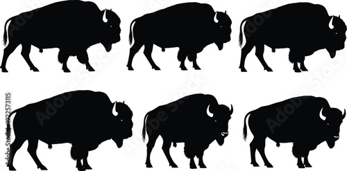 Set of Black Bison Silhouettes, American Buffalo Poses Standing and Walking, Wild Prairie Animals for Nature, Wildlife, Hunting, and West,