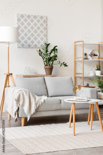 Interior of light living ro...