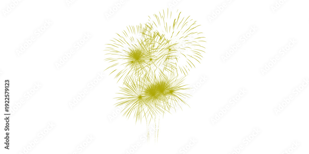 Obraz premium A vibrant yellow firework explodes in the dark night sky