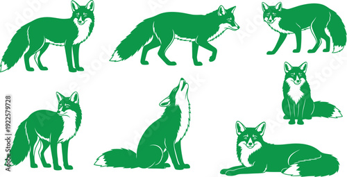 Illustrations of wolves in various poses and actions
