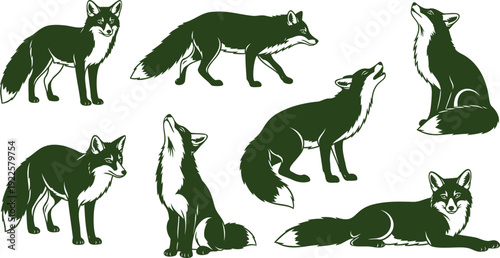 Illustrations of wolves in various poses and actions