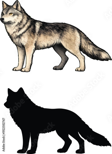 A majestic wolf stands prominently against a stark black silhouette