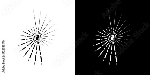 Dynamic abstract spiral sound wave rhythm lines. Circular spiral sound wave rhythm of lines. Circular futuristic abstract lines, black and white background.