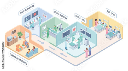 Isometric Hospital Floor Plan for Organ Transplant Surgery Workflow with Lab, Operating Room, ICU, and Waiting Area; Clean Healthcare Infographic for Medical Presentations and Web Design