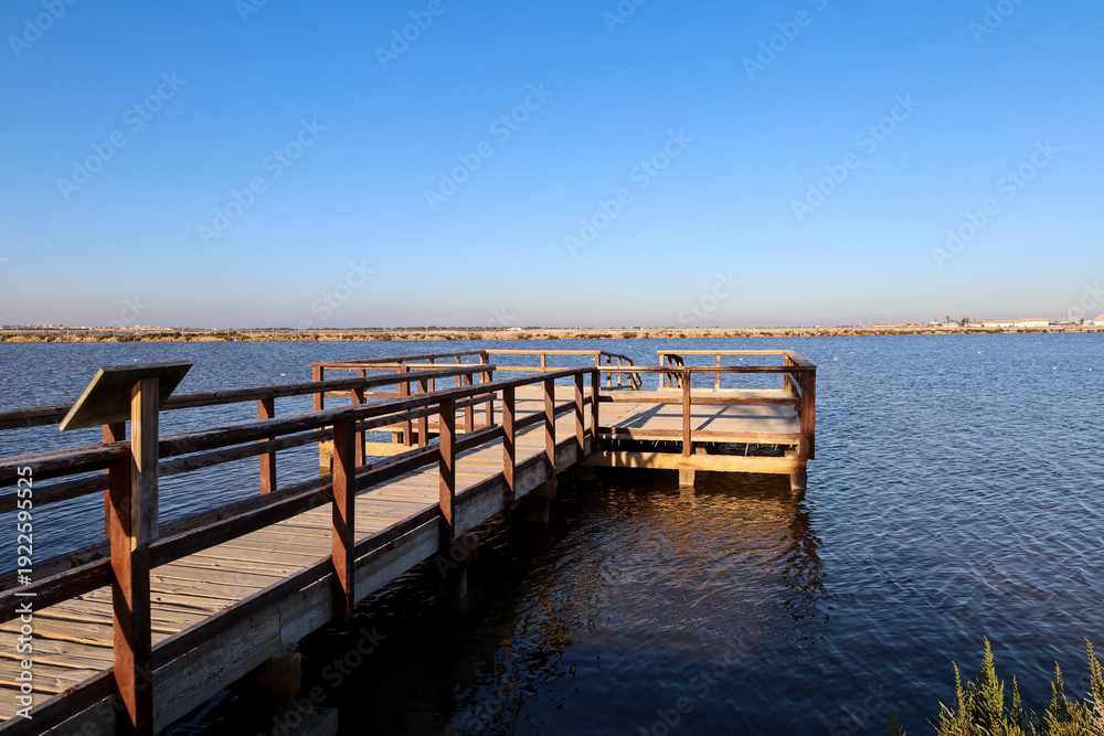 Fototapeta premium Mud of Las Charcas in the Mud Baths in San Pedro del Pinatar, Murcia