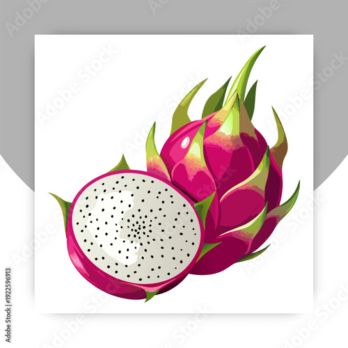 Vector collection of dragon fruit, or pitahaya, or pitahaya. Tropical exotic fruit pitaya on a white background, whole, half, pieces and balls. Isolated on white background.