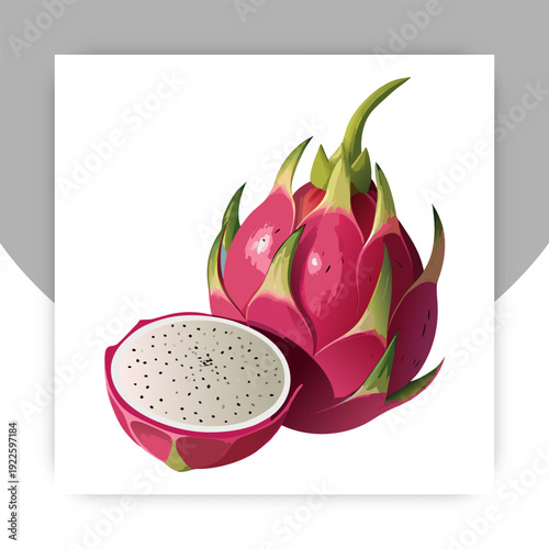 Vector collection of dragon fruit, or pitahaya, or pitahaya. Tropical exotic fruit pitaya on a white background, whole, half, pieces and balls. Isolated on white background.