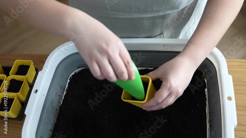 Filling a pot with soil for seedlings, close-up of hands