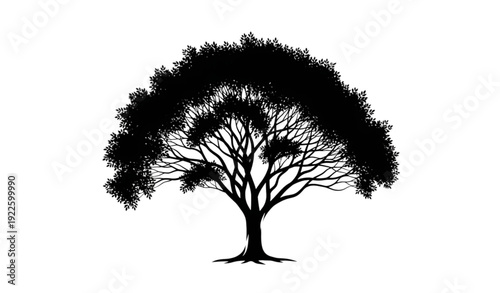 Beautiful leafy tree silhouette vector with wide canopy and natural curved branches isolated on white background