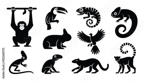 Black silhouettes of various animals and creatures 2