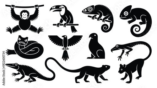 Black Silhouettes of Various Animals and Reptiles white
