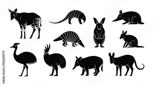 Black Silhouettes of Various Animals Including Ant Eaters and Kangaroos
