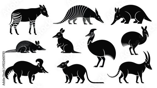 Black silhouettes of various animals on white background