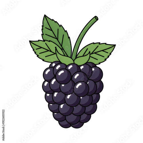 Wallpaper Mural A cluster of blackberries with green leaves and stem depicted in a simple illustration style Torontodigital.ca