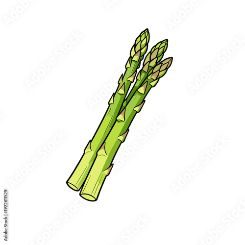 [Vector EPS]Fresh green asparagus vegetables for healthy eating