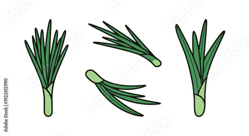Chives leaf Line art creative abstract design illustration