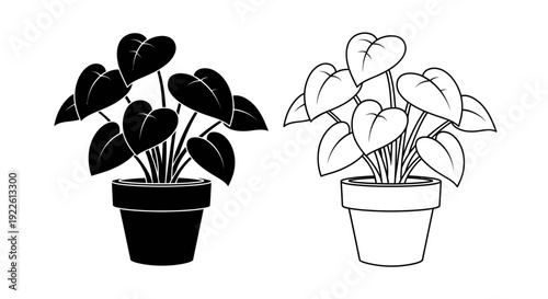 Two potted plants with different leaf patterns and colors Vector