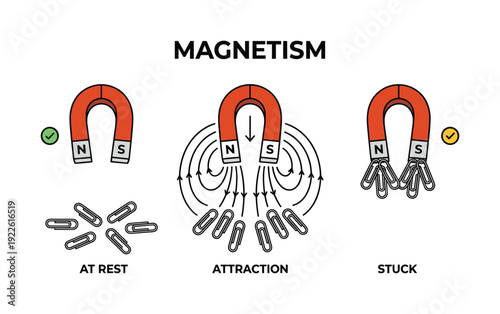 Magnetism demonstration with horseshoe magnets, paperclips in at rest, attraction and stuck positions