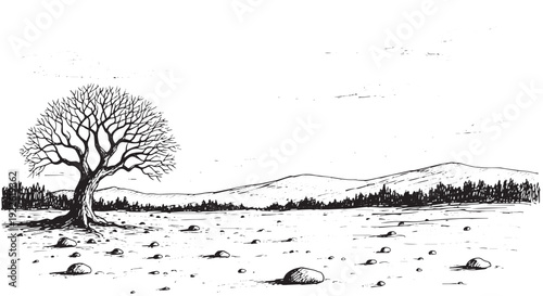 Solitary Dead Tree in Barren Landscape Sketch