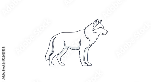Detailed Line Drawing of a Standing Wolf.