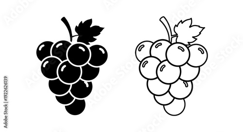 Black and white grape illustration, vintage style, fruit drawing, grapes art, wine grapes Vector