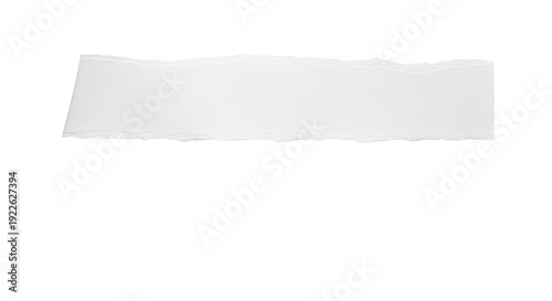 Wallpaper Mural A white piece of paper on a transparent background for office or creative concepts Torontodigital.ca