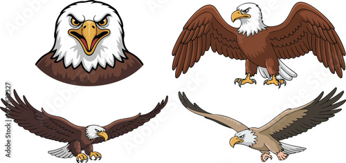 A set of four eagle illustrations arranged in a 2x2 grid against a white background.