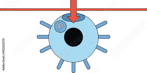 A minimalist illustration of a virus particle in light blue with a black central hole representing the nucleus