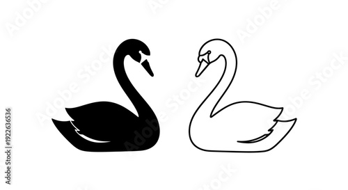 Black and white swan illustration, elegant waterfowl design, graceful bird artwork Vector