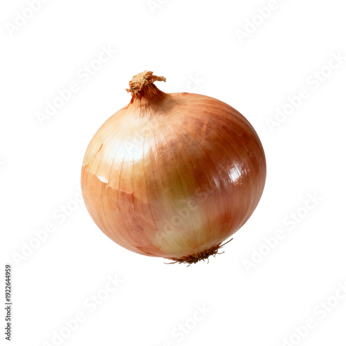 Wallpaper Mural [Transparent Background PNG]Fresh brown onion with smooth outer skin and round shape Torontodigital.ca