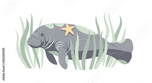 Manatee swims surrounded by aquatic plants and starfish in a serene underwater scene viewed from the side