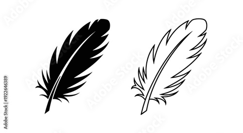 Two black and white feather illustrations on white background Vector