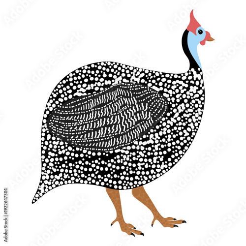 Isolated illustration of a helmeted guinea fowl with characteristic white spotted plumage. Bird character for poultry farm branding, organic food packaging or ornithology graphic design