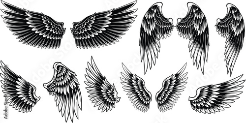 Angel and bird wings engraving collection detailed feathered vector illustration set