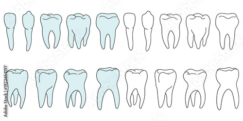 Hand-drawn cartoon and doodle set of teeth on a white background.