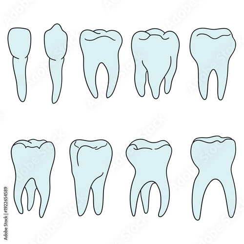 Hand-drawn cartoon set of teeth on a white background.