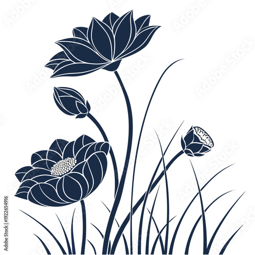 lotus seed pod silhouette on white background