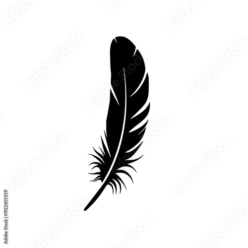 Elegant black feather with soft quill and delicate plumage