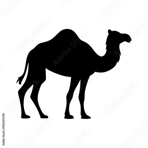 Majestic camel standing in profile view