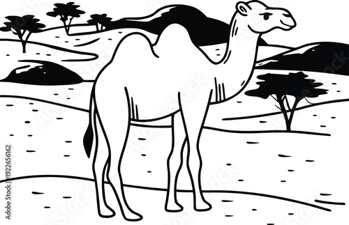 camel in the desert