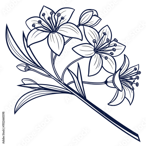 hoya flower with leaves