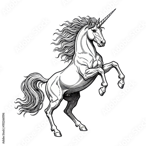 Powerful mythological unicorn in a heraldic rampant pose, rendered as a highly detailed black and white woodcut engraving illustration against a transparent field, concept of symbolic nobility
