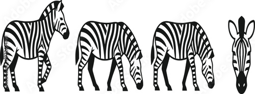 Zebra silhouettes collection with different grazing walking standing poses isolated black animal vector illustration for wildlife safari design.