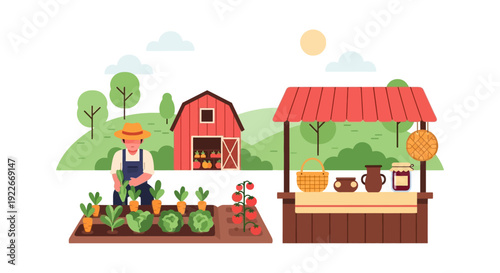 Farmer Harvesting Vegetables in Garden next to Farm Stand. Organic Local Produce Market, Rural Agriculture Scene Vector Illustration