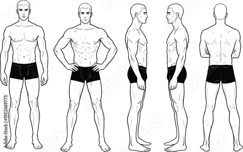 Full body male anatomy reference, front side and back view muscular man line art illustration isolated on white background
