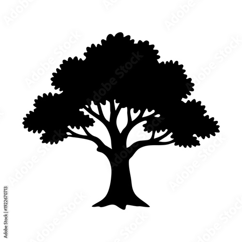 Single oak tree with thick trunk and rounded leafy canopy silhouette